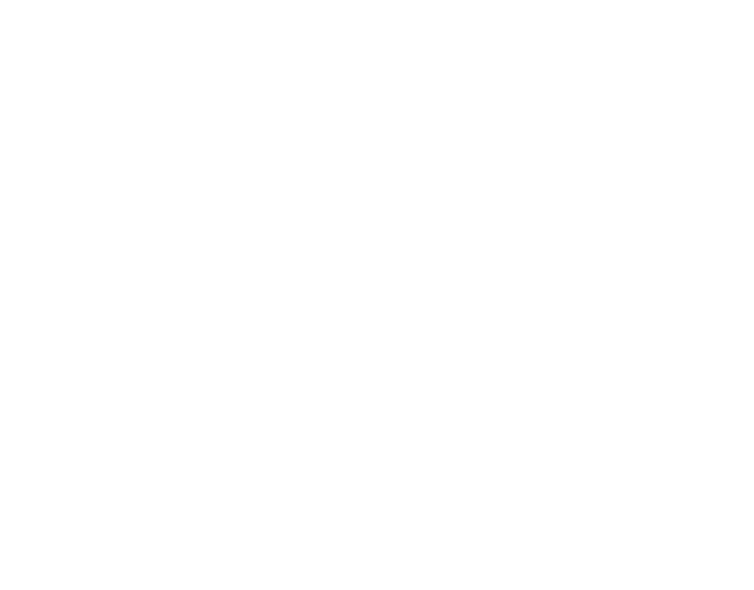 luxury-executive-travels